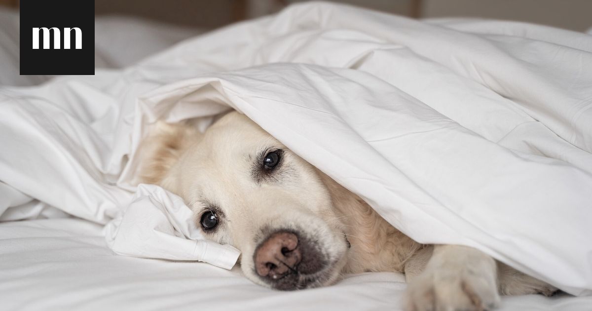 Miten ehkäistä flunssaa? Lääkäri kertoo, kuinka tehokkaita yleiset keinot ovat