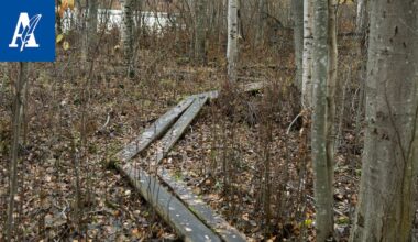 Tampereelle kaksi uutta luonnonsuojelualuetta