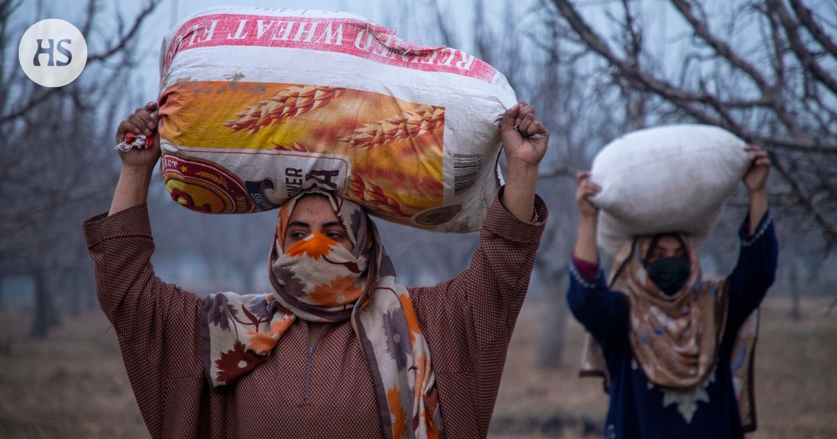 Intian valtio maksaa naisille rahaa ilman ehtoja