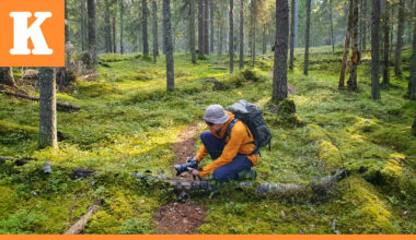 Teemu Saloriutta päätti löytää pisimmän mahdollisen vaelluksen luonnonmetsissä – 200 kilometrin tutkimusmatkalla hän tajusi, että metsillä on toivoa