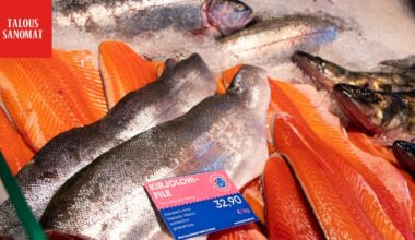 Yle: Ikävä tieto kalatiskeistä – täällä myytiin jopa 10 päivää vanhaa lohta
