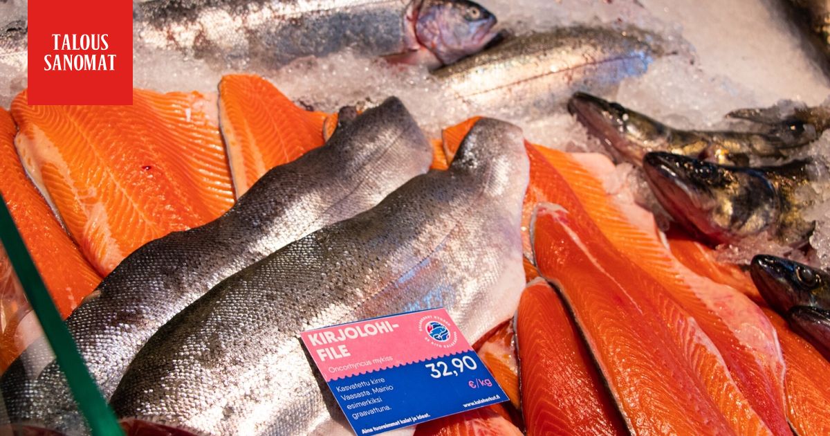 Yle: Ikävä tieto kalatiskeistä – täällä myytiin jopa 10 päivää vanhaa lohta