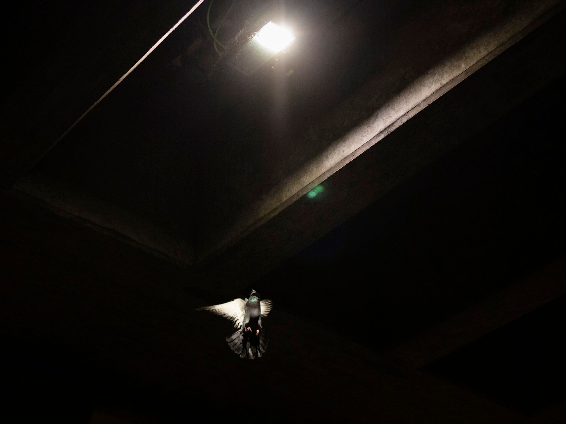 Alppiharju kello 6.59.