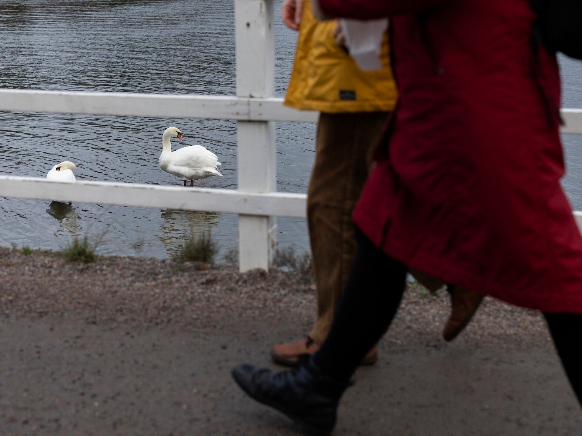Läntinen Pukkisaari kello 13.38.