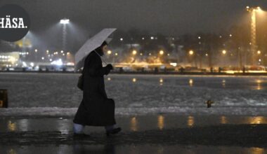 Tähän mennessä kattavin ympäristön tilasta laadittu tieteellinen raportti julkaistiin | Uutissuomalainen