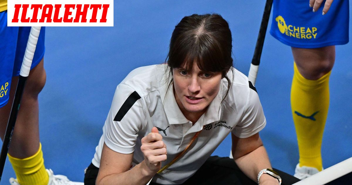 Ruotsin fiaskon seuraus: Potkut