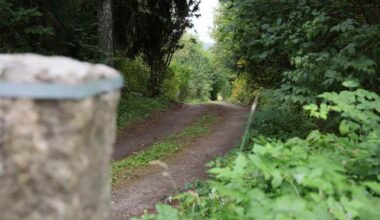 Iittalalaismies pyytää pääsyä mielentila­tutkimukseen – syytetään muun muassa lapsen­raiskauksesta | Kotimaa