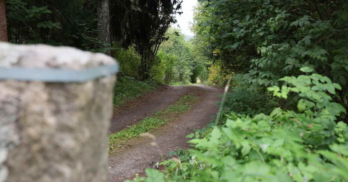 Iittalalaismies pyytää pääsyä mielentila­tutkimukseen – syytetään muun muassa lapsen­raiskauksesta | Kotimaa