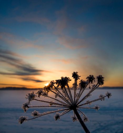 Pakkanen paukkui aatonaattona 2023.