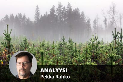 Suomen metsät ovat sittenkin hiilinielu – Tästä muuttuneissa luvuissa on kyse