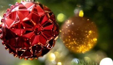 Perho on Keski-Pohjanmaan jouluisin kunta, kertoo mobiilipaikannusdata | Keski-Pohjanmaa