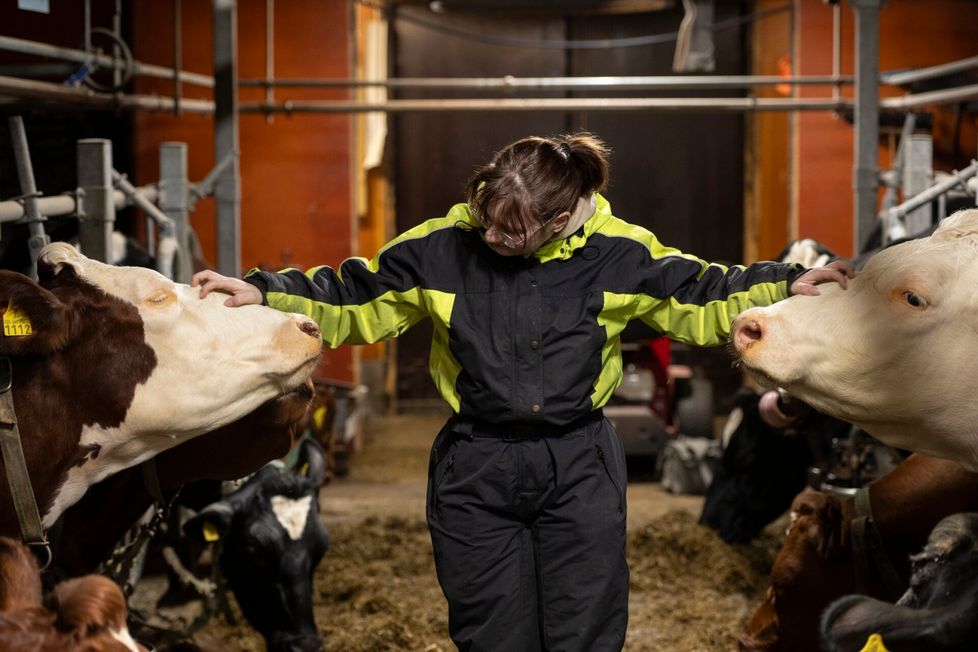 Tulevaisuudessa Tarjaksen olisi tavoitteena osallistua yhä enemmän maatilan töihin. Hänellä on jo entuudestaan eläintenhoitajan tutkinto ja työkokemusta alalta.