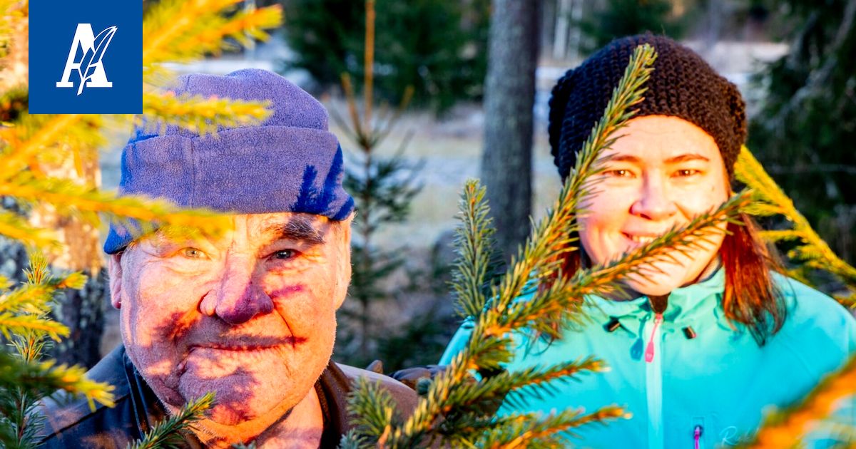 Isä ja tytär saavat joulumielen kuusimyynnistä – Tästä pirkanmaalaiset vinkit joulukuusen hoitoon - Aamulehti