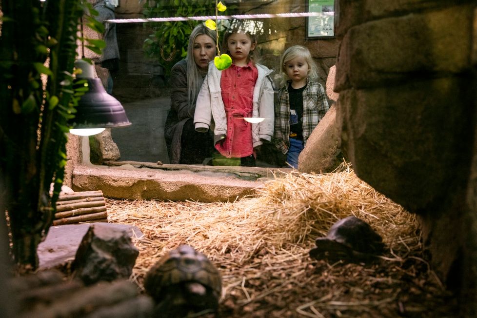 Äiti, Iris ja Milo Hagner ihmettelemässä Korkeasaaren asukkaita.