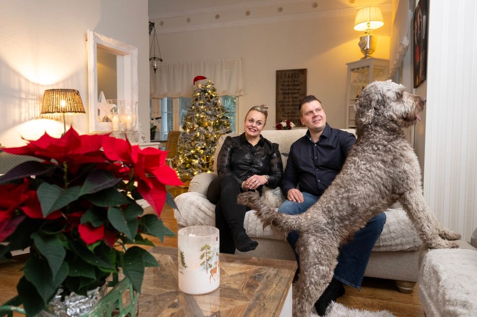 Porilaiset Taina ja Janne Ojaniemi ovat poikkeuksellisesti molemmat vapaalla jouluaaton, mutta poliisin työ kutsuu sen jälkeen. Perheen Konsta-koira osallistuu innokkaasti kaikkiin joulupuuhiin. 