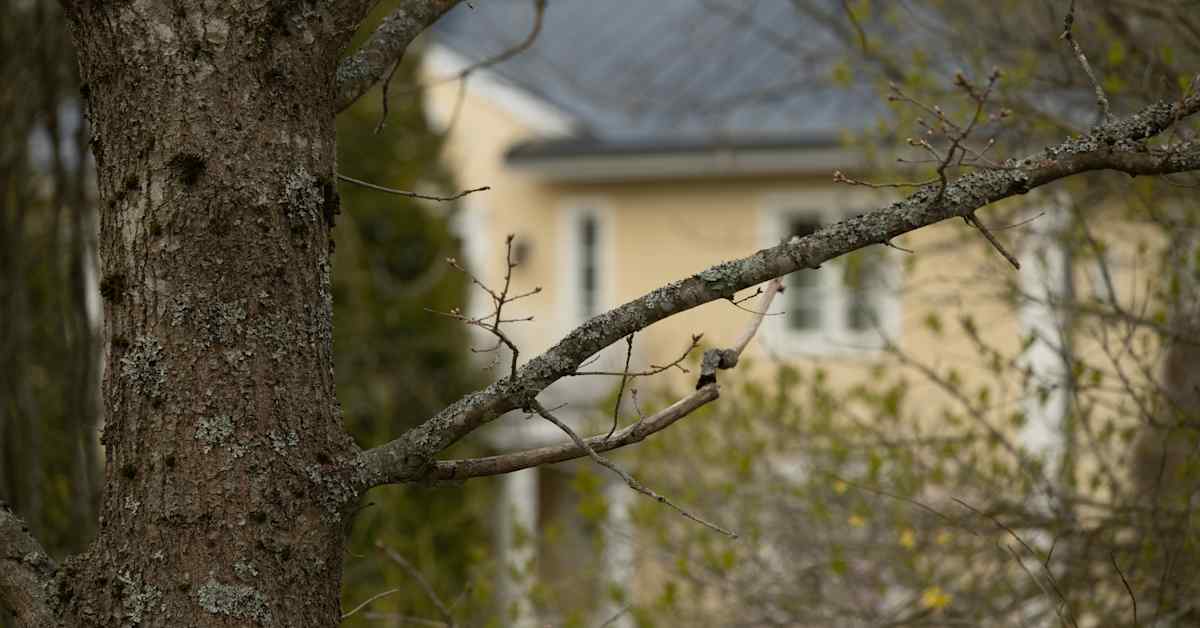 Poliisi epäilee: Luottamuksen menetys liikeasioissa johti murhaan Espoossa | Uusimaa