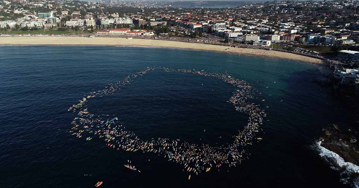 Australiassa ”jouluihme” – Sydneyn verilöylyssä päähän ammuttu poliisi kotiutui sairaalasta | Uutisia lyhyesti