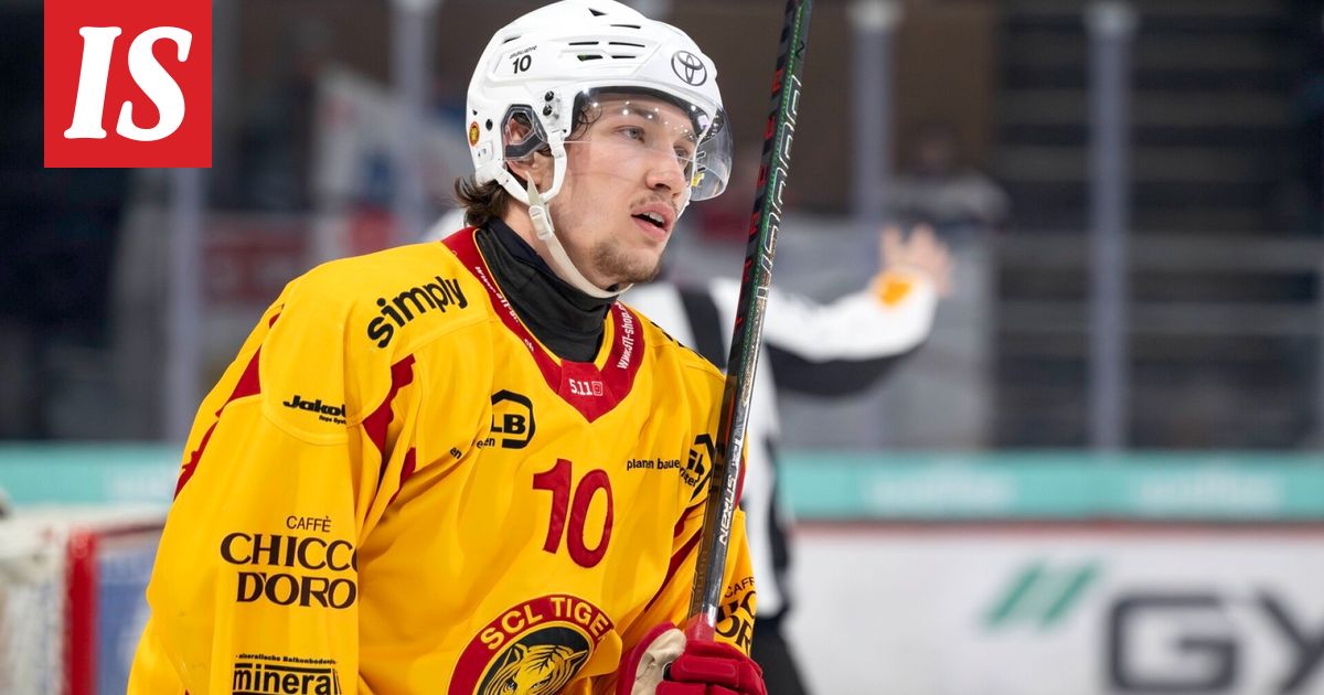 HIFK:lle lisää vahvistuksia - Ilta-Sanomat