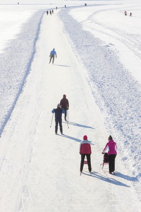 Kuopion sataman liepeiltä alkaa luonnonjäärata, jossa voi harrastaa erilaisia talvilajeja, kuten paikalliseen tapaan potkukelkkailua.