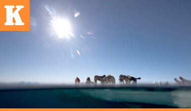 Itäisessä Islannissa mitattiin miltei parikymmentä lämpöastetta jouluaattona