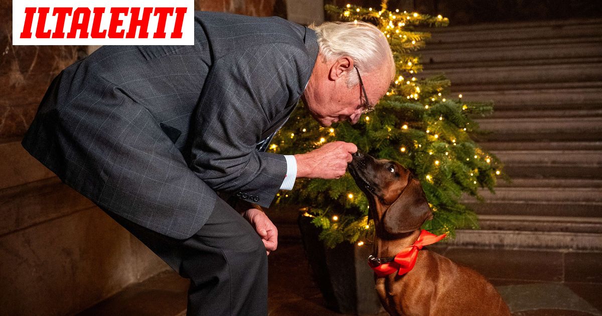 Näin suloinen on Ruotsin hovin tulokas