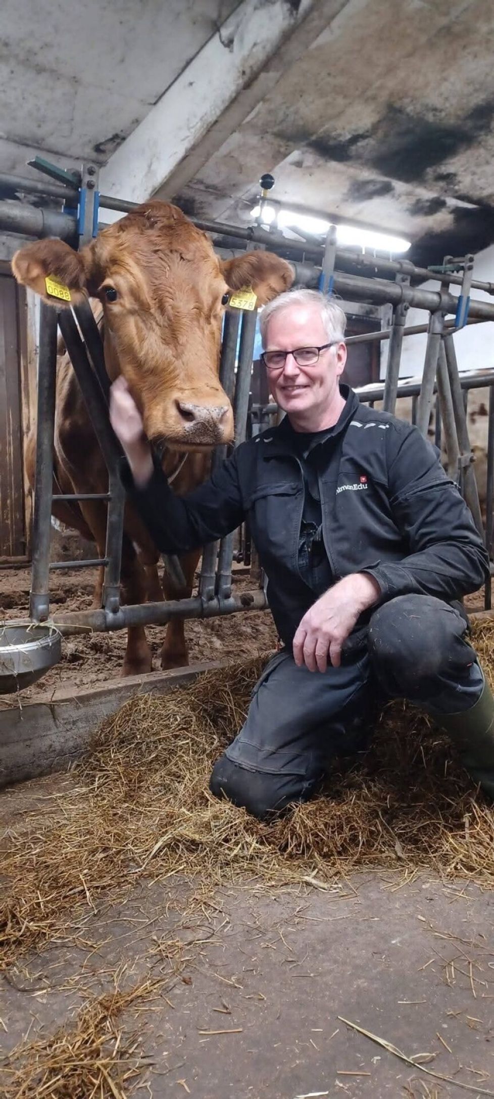 Kun Tampereella sijaitsevan Ahlmanin maatalousoppilaitoksen opiskelijat ovat lomalla, lähes 90 lypsylehmän hoidosta vastaa oppilaitoksen henkilökunta. Maatilamestari Harri Ala-Kapee osallistui maatilan töihin jouluaattona. Eläimiä hoidettiin kolmen hengen porukalla, ja samalla syötiin joulusuklaata ja kuunneltiin joululauluja. Navetan jouluvalot loivat myös tunnelmaa.