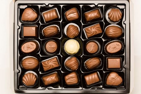 Maraboun Paradis- ja Aladdin-rasia ovat kutistuneet.