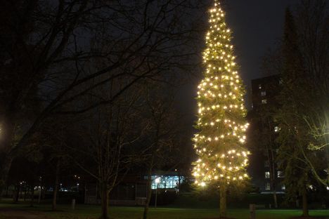 Poutunpuiston iso valaistu joulukuusi.