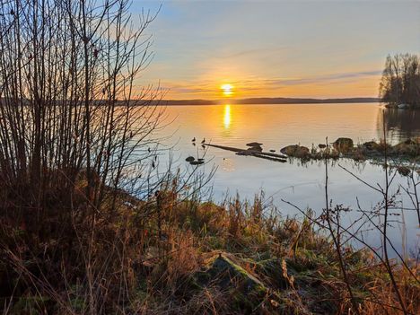 Eino Matinniemi ikuisti Saviselkää marraskuun lopussa.