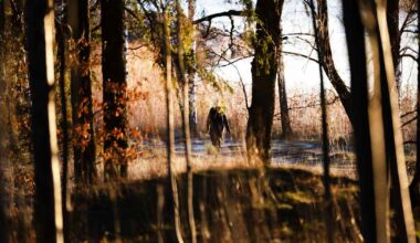 Katso tästä jutusta, kuinka päivä pitenee hitaasti, mutta varmasti | Uutisia lyhyesti
