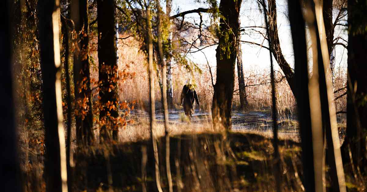 Katso tästä jutusta, kuinka päivä pitenee hitaasti, mutta varmasti | Uutisia lyhyesti