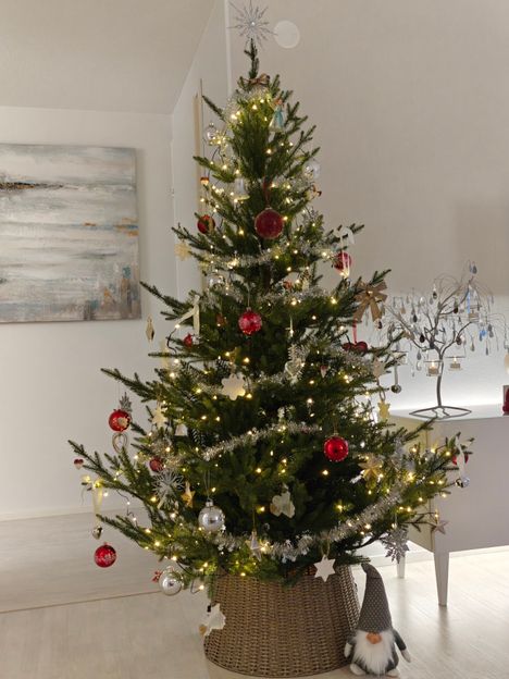 Niina Ivaskan joulukuusi, jonka Aamulehden lukijat valitsivat Pirkanmaan komeimmaksi. Lähde: Niina Ivaskan kuvakokoelma.