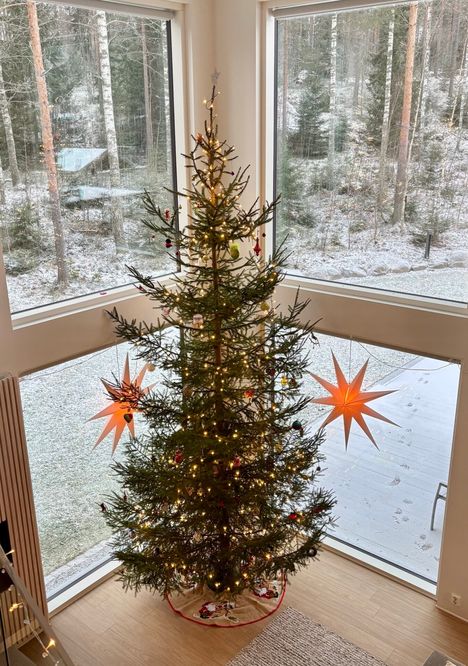 Kolmanneksi sijoittunut Anna Chronsin joulukuusi.