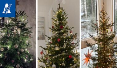 Tässä on Pirkanmaan komein kuusi