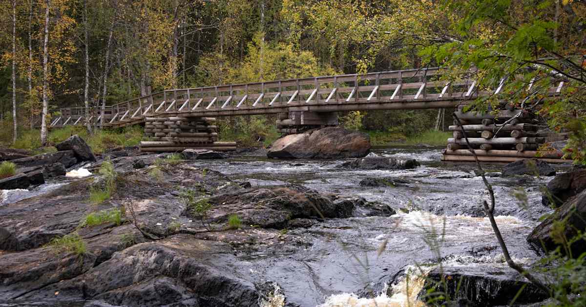 Matkailuauton ikkunoita rikottiin ilmakiväärillä Rovaniemellä – ulkomaalaisperhe nukkui parkkialueella vahingonteon aikana | Kotimaa