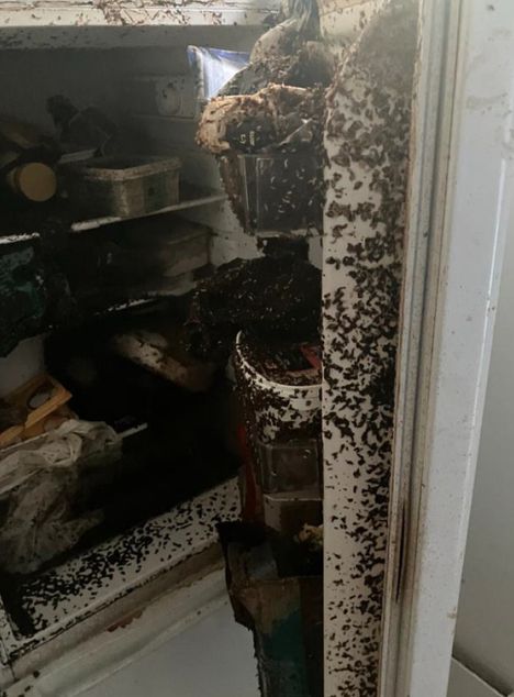 Asunnon jääkaappi oli karmeassa kunnossa.