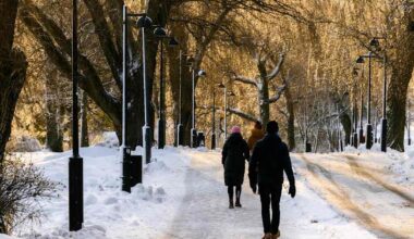 Kunnon talvisää etelään uudeksi vuodeksi – merikin voi jäätyä | Uusimaa