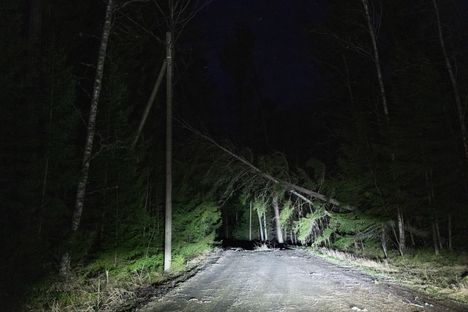 Puu kaatui sähkölinjan päälle Porissa.