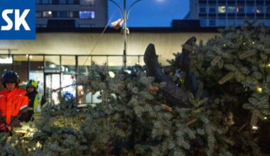 Katso kuvat: Porin torin joulukuusi kaatui Toriparlamentin päälle