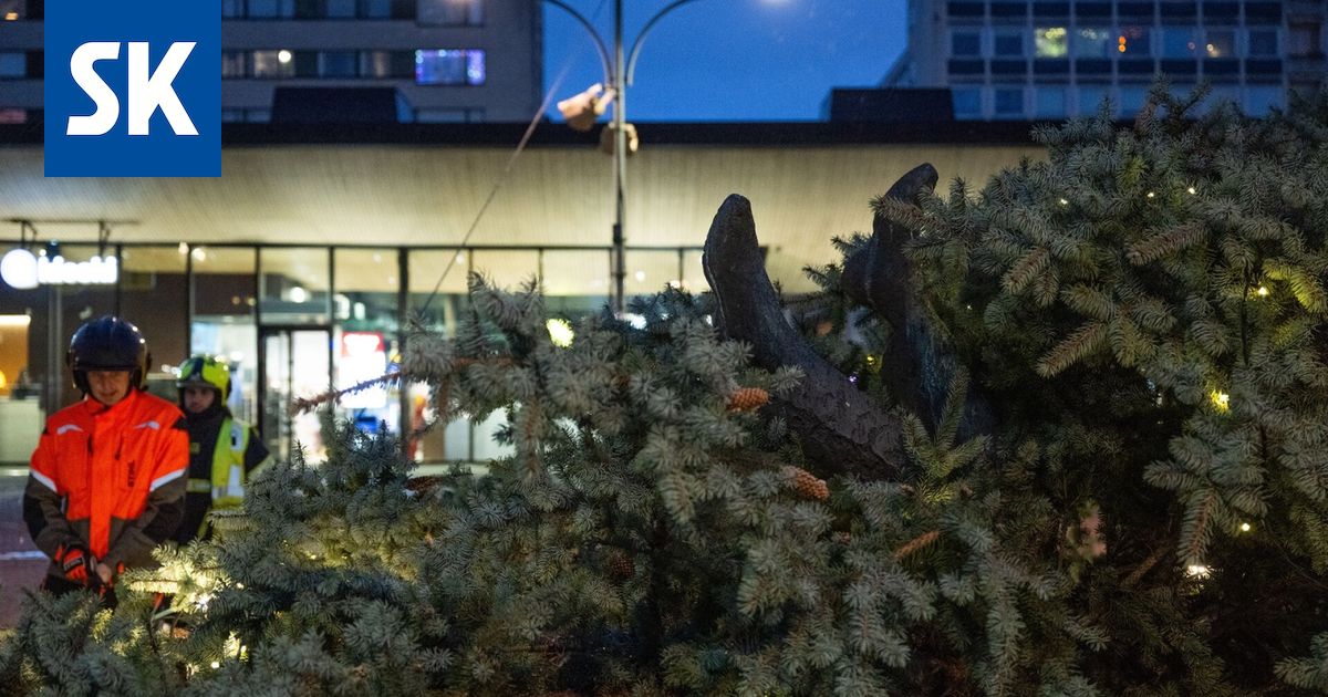 Katso kuvat: Porin torin joulukuusi kaatui Toriparlamentin päälle