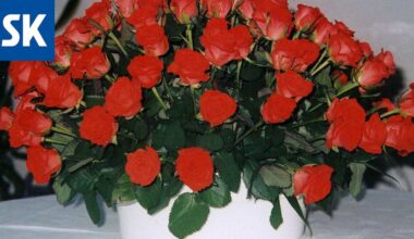 Katso tästä Satakunnassa kastetut, vihityt ja kuolleet