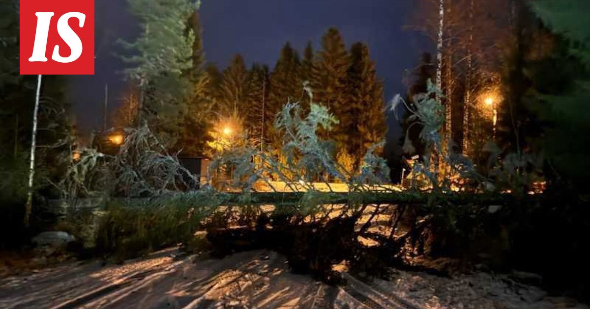 Hannes-myrsky riehui Seinäjoella – Annika oli jäädä kaatuvan puun alle