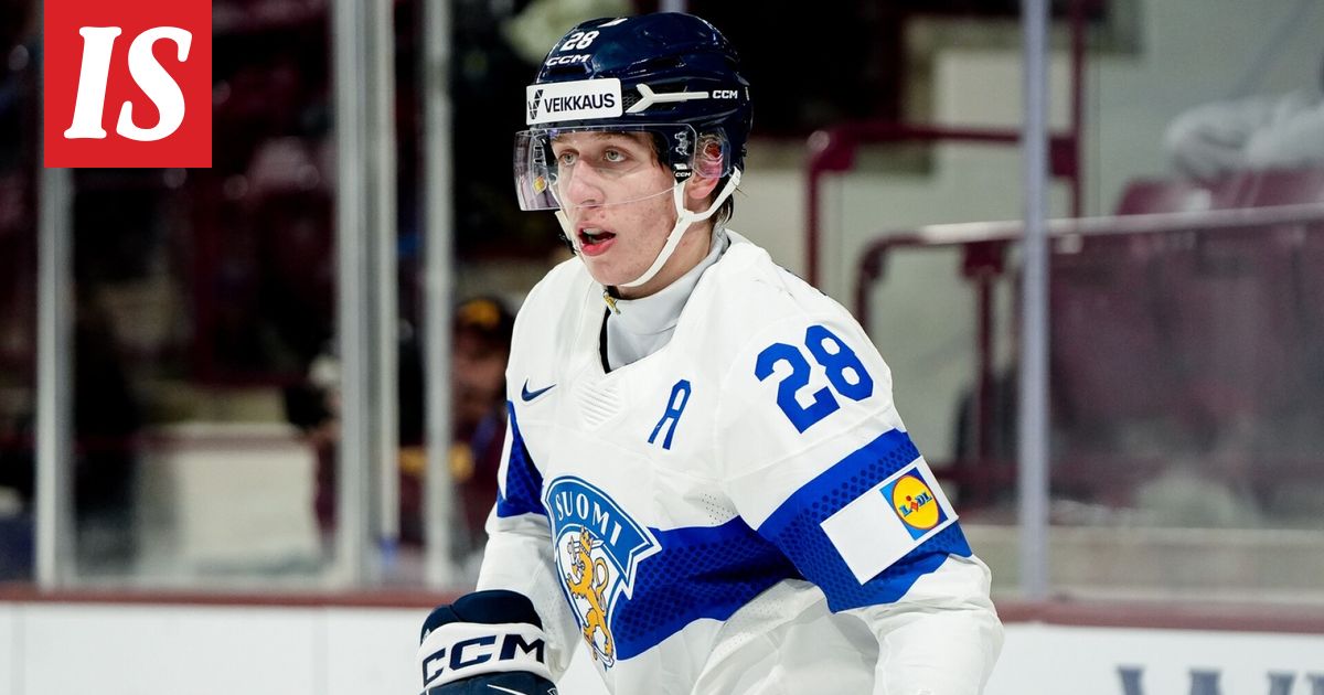 Heikki Ruohonen: tällaista on opiskelu Harvardin yliopistossa