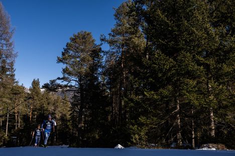 Niskanen odottaa suuria torstain 20 kilometrin perinteisen takaa-ajolta.