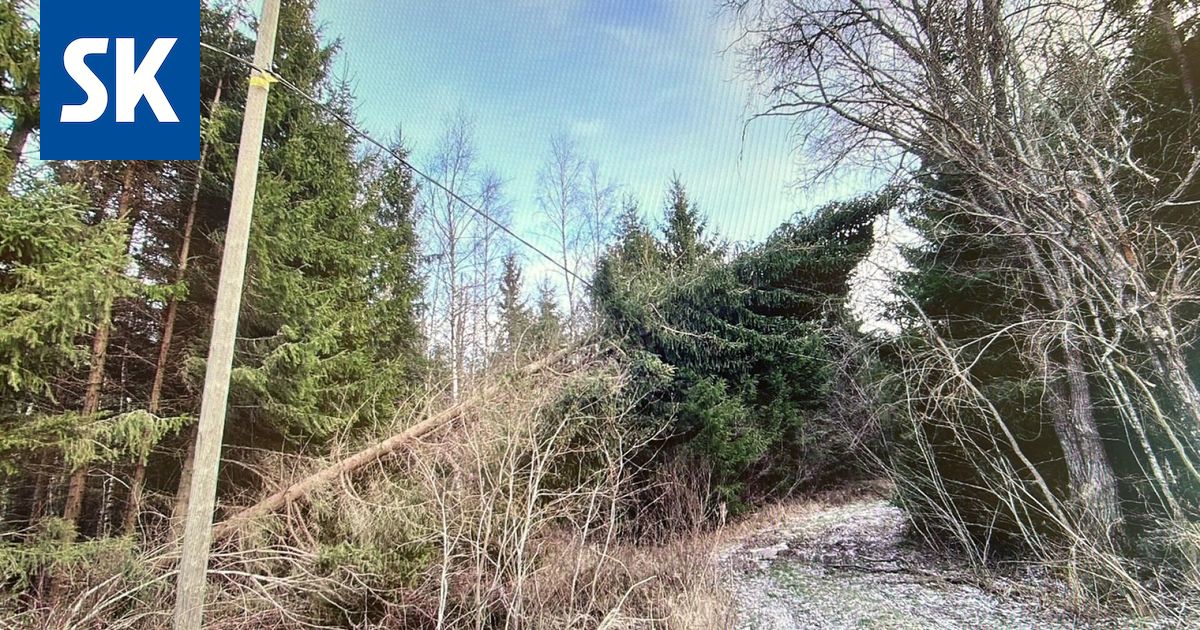 Lankosken Sähkölle myrskytuhojen raivausurakka Satakunnan rankimpia