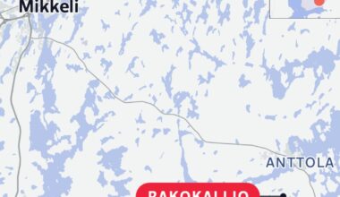 Lemmikkikoira putosi yli 10 metriä syvään kalliorotkoon Mikkelin Rakokalliossa – pelastajat saivat koiran ylös | Kotimaa