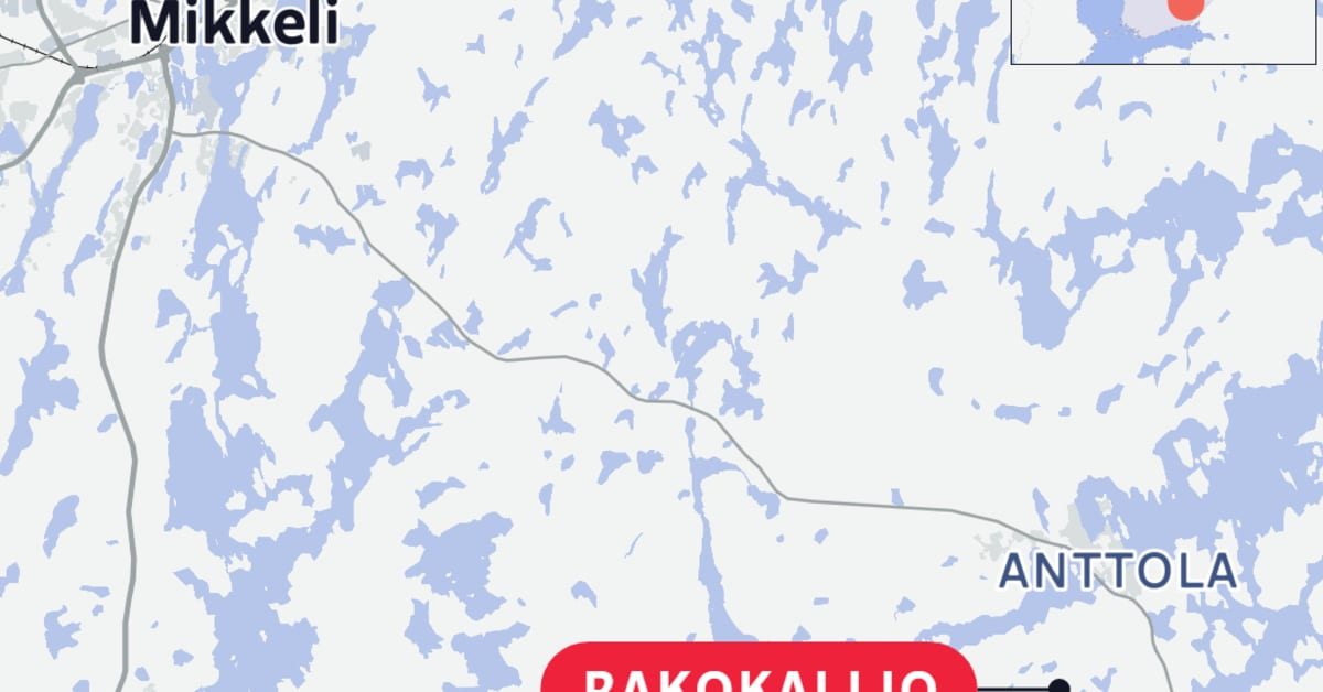 Lemmikkikoira putosi yli 10 metriä syvään kalliorotkoon Mikkelin Rakokalliossa – pelastajat saivat koiran ylös | Kotimaa