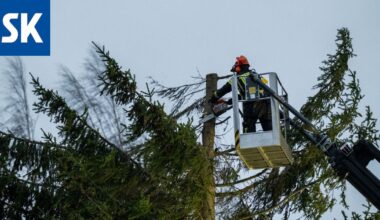 Hannes-myrskyn metsätuhot pahimpia rannikkokunnissa - Satakunnan Kansa