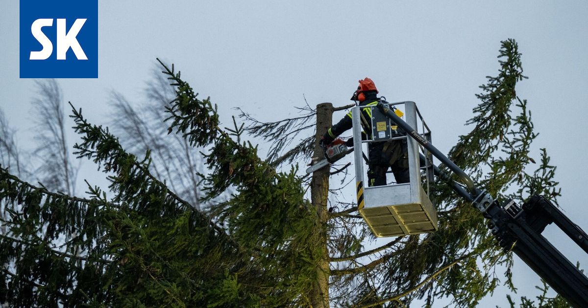 Hannes-myrskyn metsätuhot pahimpia rannikkokunnissa - Satakunnan Kansa