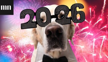 Me Naisten uuden vuoden testi: Millainen vuodesta 2026 tulee? 10 kysymyksen testi paljastaa, miten sinun käy